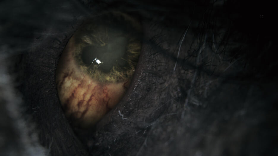 Bloodborne Game Of The Year (Goty) PS4 UK