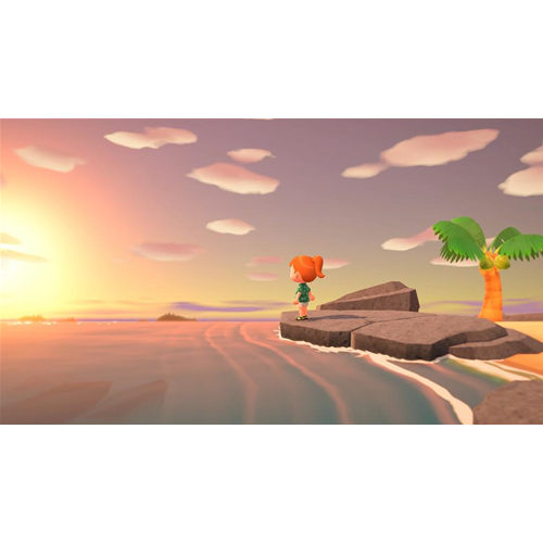 Animal Crossing New Horizons Switch UK Usato