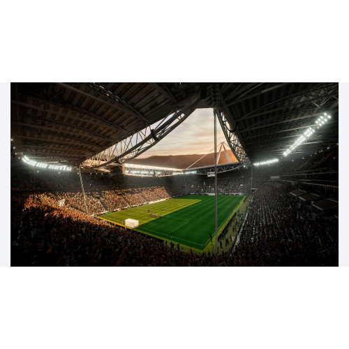 Ea Sports Fc 24 Pc Es Usato