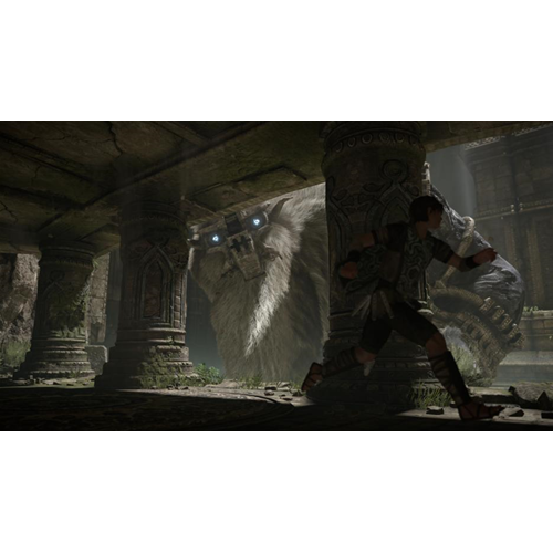 Shadow Of The Colossus PS4 UK