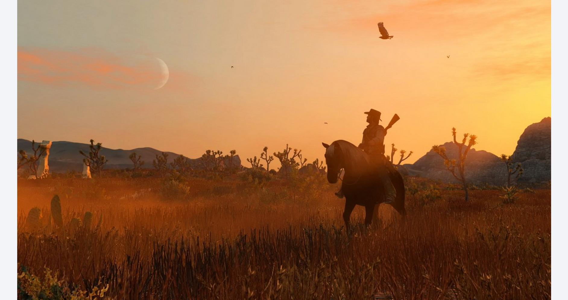 Red Dead Redemption PS4 DE