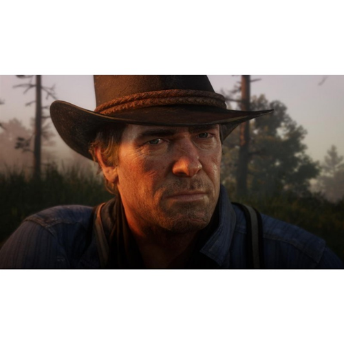 RED DEAD REDEMPTION 2 PS4 ES USED