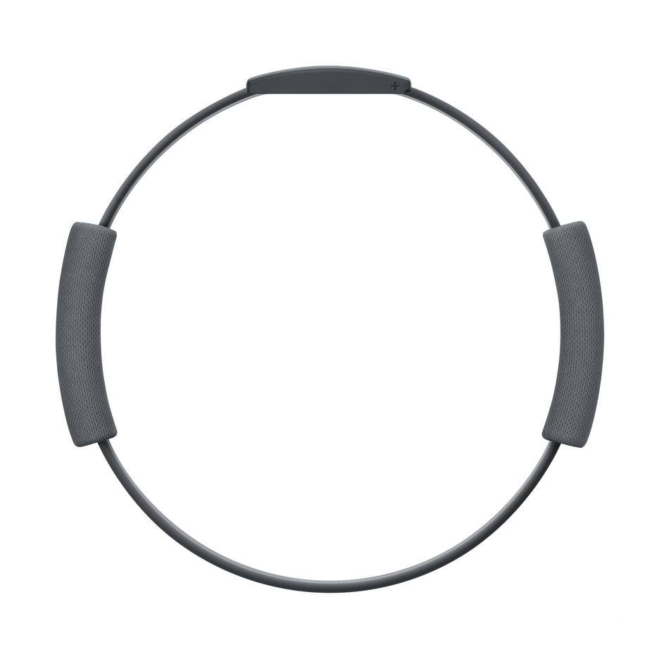Ring Fit Adventure Switch