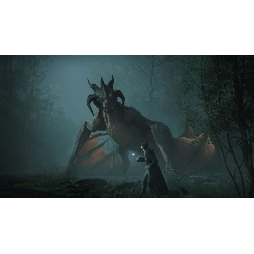 Hogwarts Legacy PS5 IT